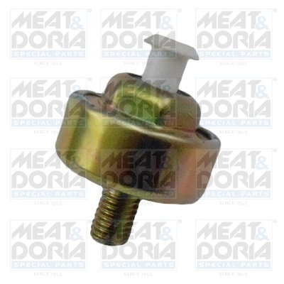 Knock Sensor